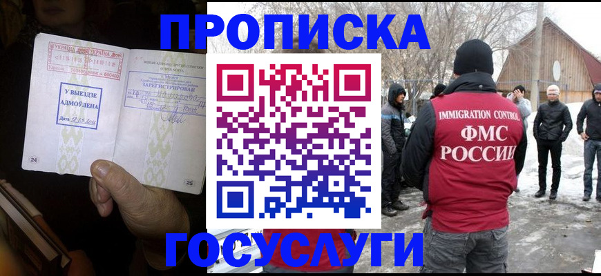прописка поиск в Сунже